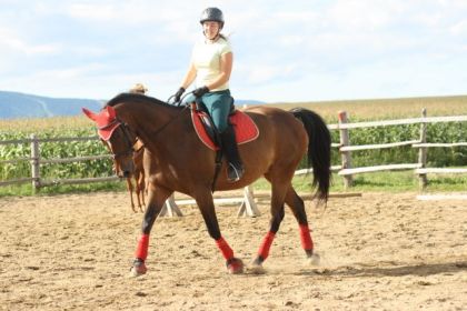 Moi j'ai les yeux fermés.. mais mon cheval est wow là-dessus :)