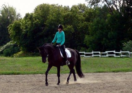 photo par LevelUp S. petit trot :)