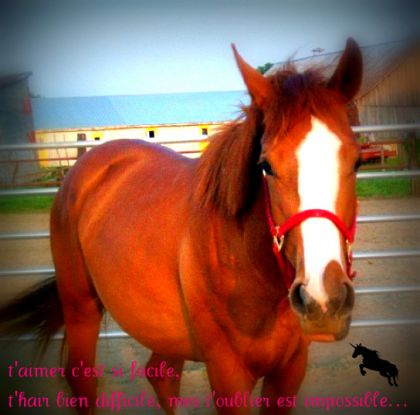 Toscane ma  poulichee de 2 ans