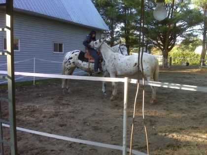 C'est moi sur Duster qui tien mon autre cheval (freckles) dans...