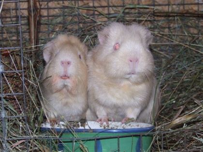 Hey!!!...on a faim nous!