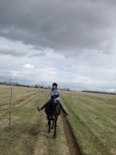 mon premier galop a cru au champ avec jade :)