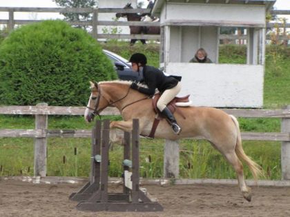 photo par Tonerre Premier concours de saut pour nous deux avec 2mois...