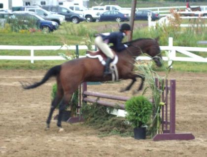 Showw cher Paull !