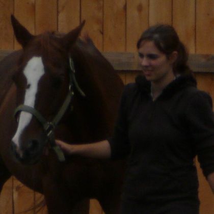 yer tellement fin ste cheval là ouf !