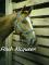 Cheval a louer (gatineau, ange-gardien)