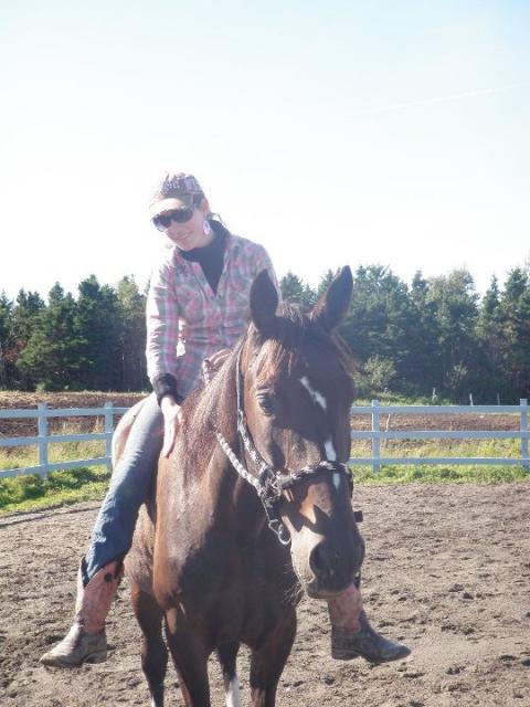 Cheval de randonner