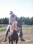 Cheval de randonner