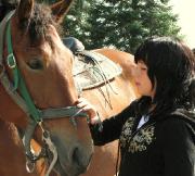 Recherche un cheval.