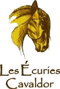 Cours d'équitation classique Wickham