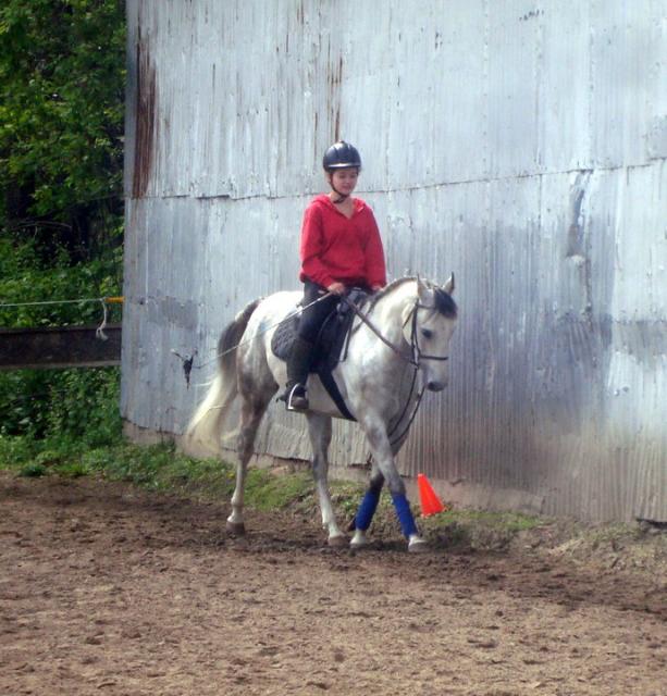 RECHERCE DEMI-PENSIONNAIRE pour MAGNIFIQUE CHEVAL~URGENT~