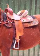 SELLE DE BARILS ALAMO 