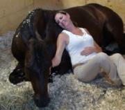 Cours "PERFORMANCE WESTERN & CLASSIQUE"