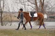 Selle Wintec Pro Pony Dressage