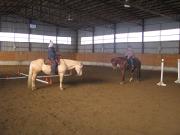 Deux demi-pension : BONS CHEVAUX de PERFORMANCE