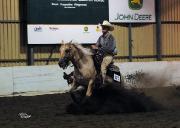Tommy Tag San (Étalon de Reining)