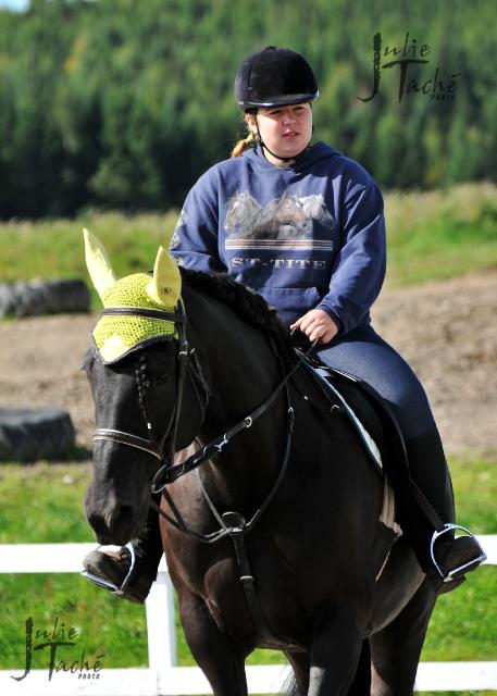 Demi pension sur cheval extra (saguenay)