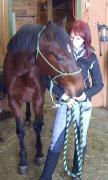Cours d'équitation a Mascouche