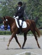 Demi-pension sur cheval de concours