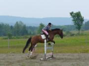 Entraînement de chevaux