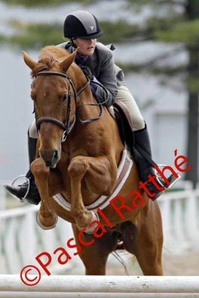 Vestons compétition de saut à vendre PRIX RÉVISÉ