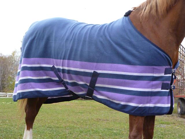 **VENDU** Merci ** Cooler - grandeur 76
