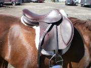 selle de saut