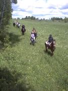 Randonnée à cheval