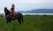 QuaterHorse\Canadien 8ans négo