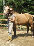 2 chevaux et 2 poneys