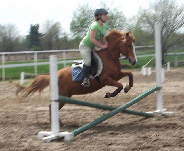 Mindy! Superbe Ponette Alezane (7ans)