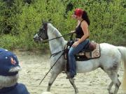 Jument Quater horse Arabe