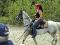 Jument Quater horse Arabe
