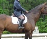 Selle de saut 17po