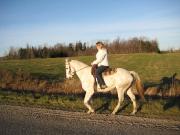 Belle jument blanche de 16 ans, 16 mains