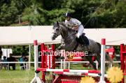 WARMBLOOD TB X HANOVRIEN Jument compétition
