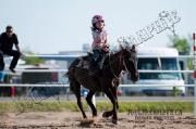 ponette recherche demi penssionnaire .(gatineau)