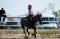 ponette recherche demi penssionnaire .(gatineau)