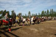 23 juin ,gymkhana amateur a st-didace dans...
