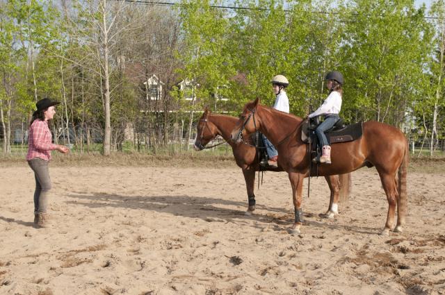 POSITIVEMENT CHEVAL. École d'équitation