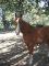 Qh-Offre Demi-Pension