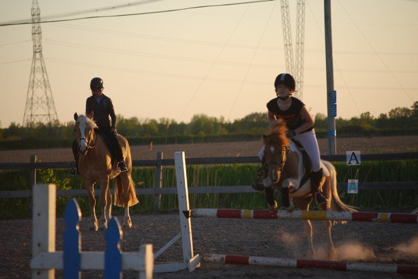 Monte/entraîne et/ou m'occupe de vos chevaux/poneys