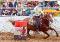 chemise western de competition a vendre