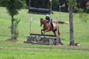 Thoroughbred de 6 ans