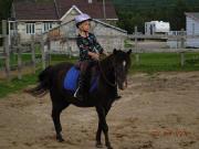poney welsh VENDU MERCI
