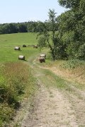 ÉCURIE DE PENSION ET COURS D'ÉQUITATION, ST-JANVIER