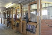 ÉCURIE DE PENSION ET COURS D'ÉQUITATION, ST-JANVIER