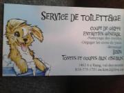 Toilettage chien et chat en outaouais...