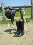 belle selle anglaise avec équipement a vendre