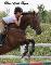 cheval a vendre